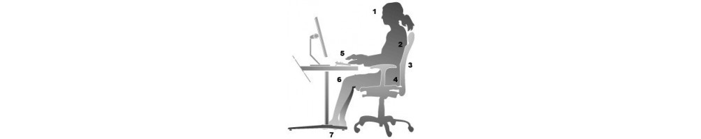 siège fauteuil posture assise ergonomique confortable confort tns mal de dos patologie Dauphin Erman Miller Lofller